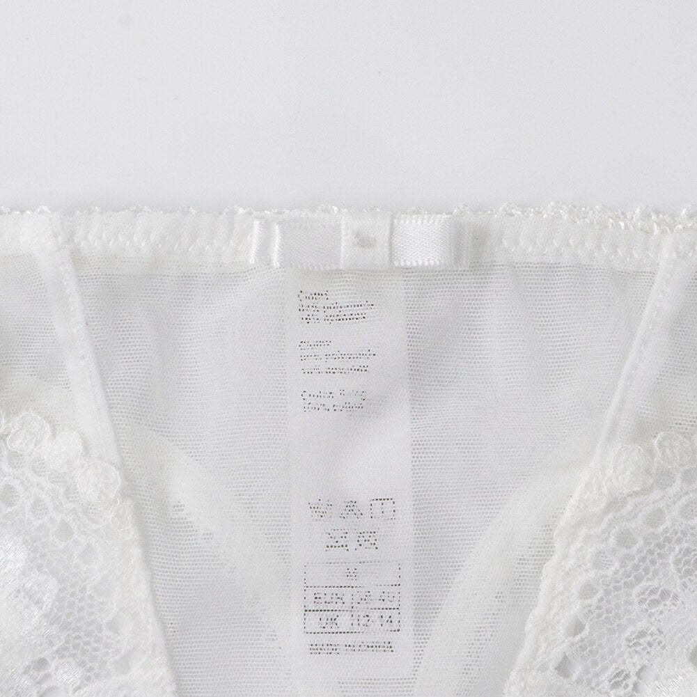 Embroidered lace underwear bra + thong panties
